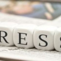 Presse Archiv 2019